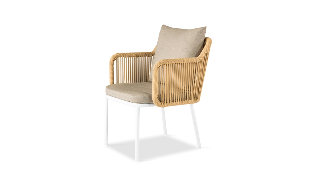 CS19 ガーデンチェア / Garden Chair