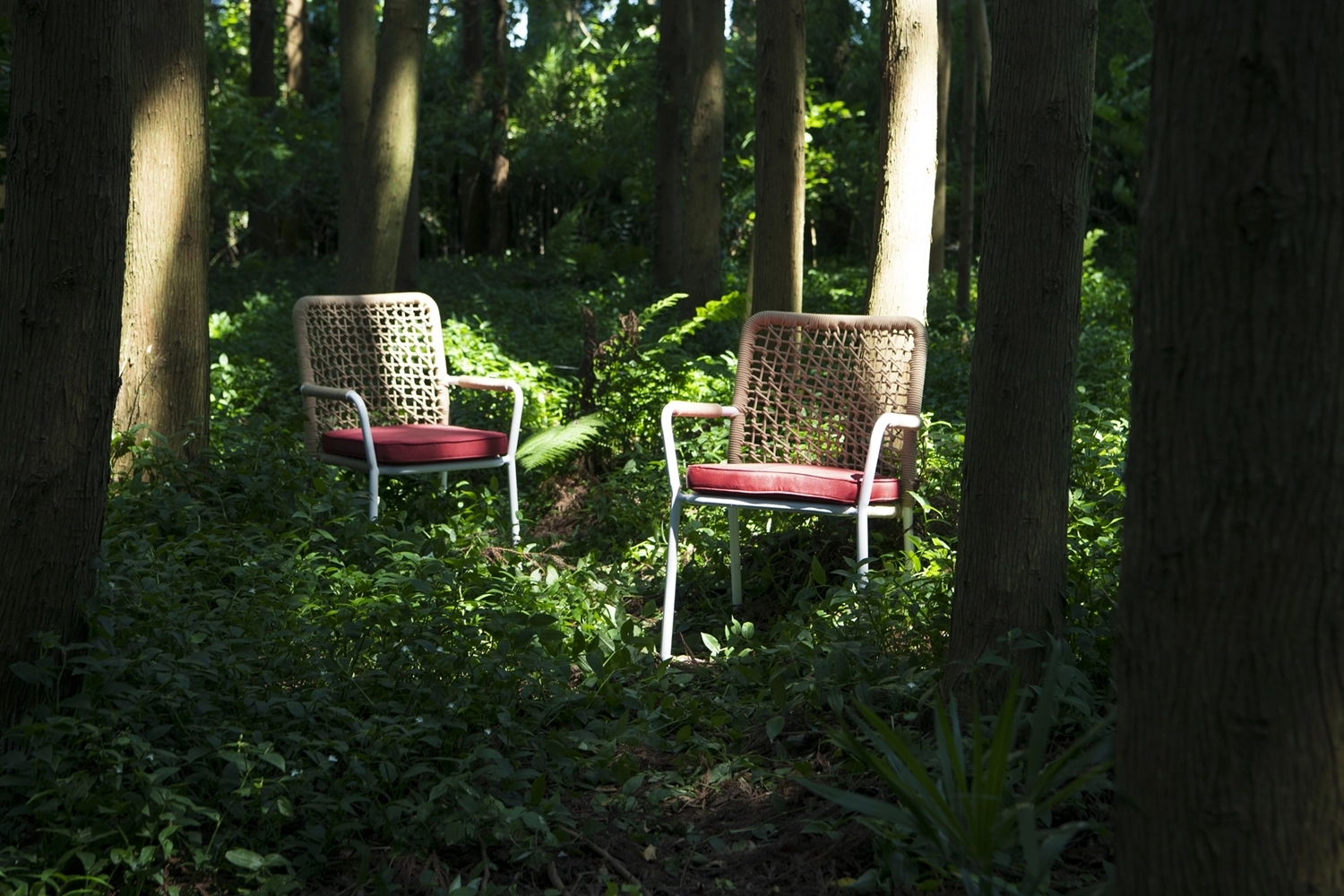 CW57 ガーデンチェア / Garden Chair